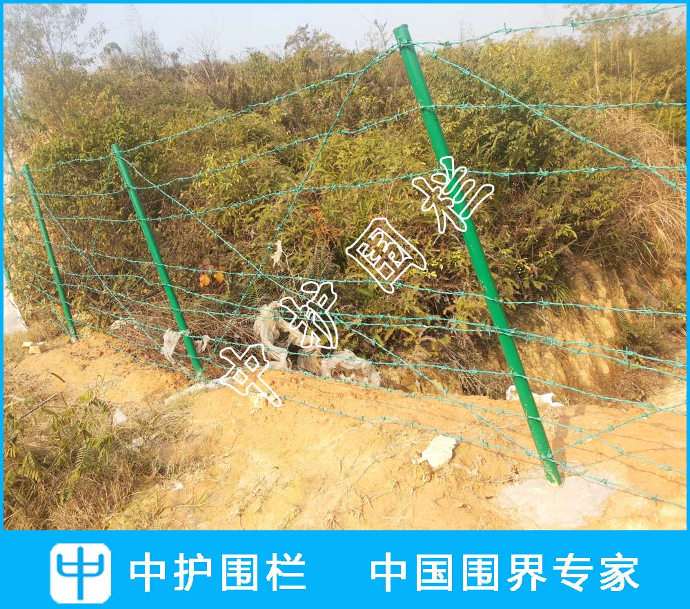 水庫護欄網