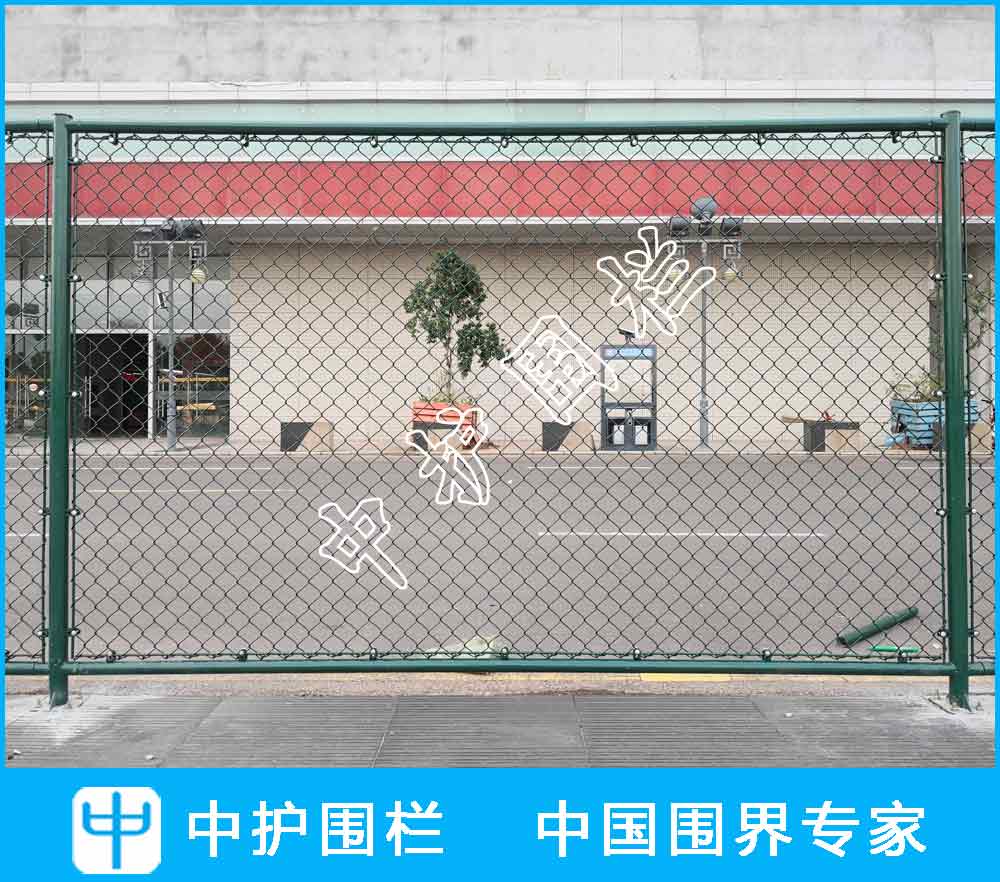 深圳市魚尾獅兒童教育有限公司球